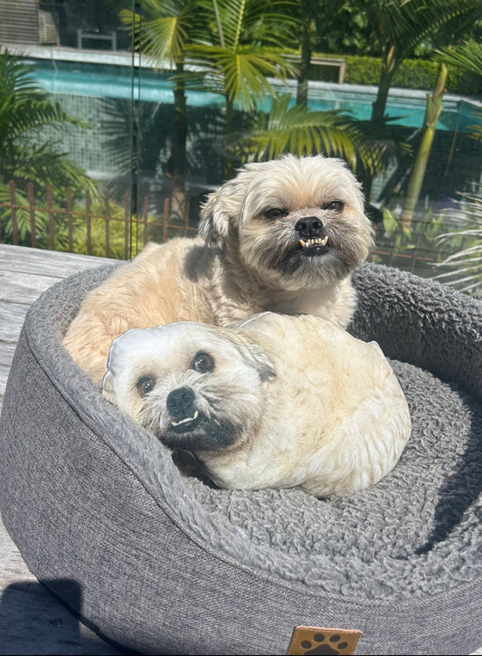 Custom Pet-Shaped Pillow!