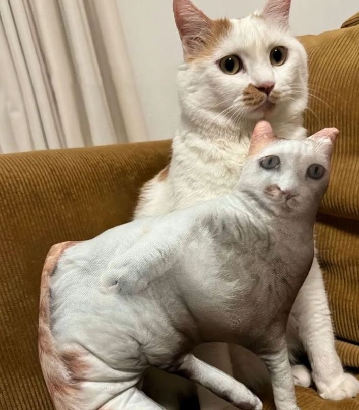 Custom Pet-Shaped Pillow!