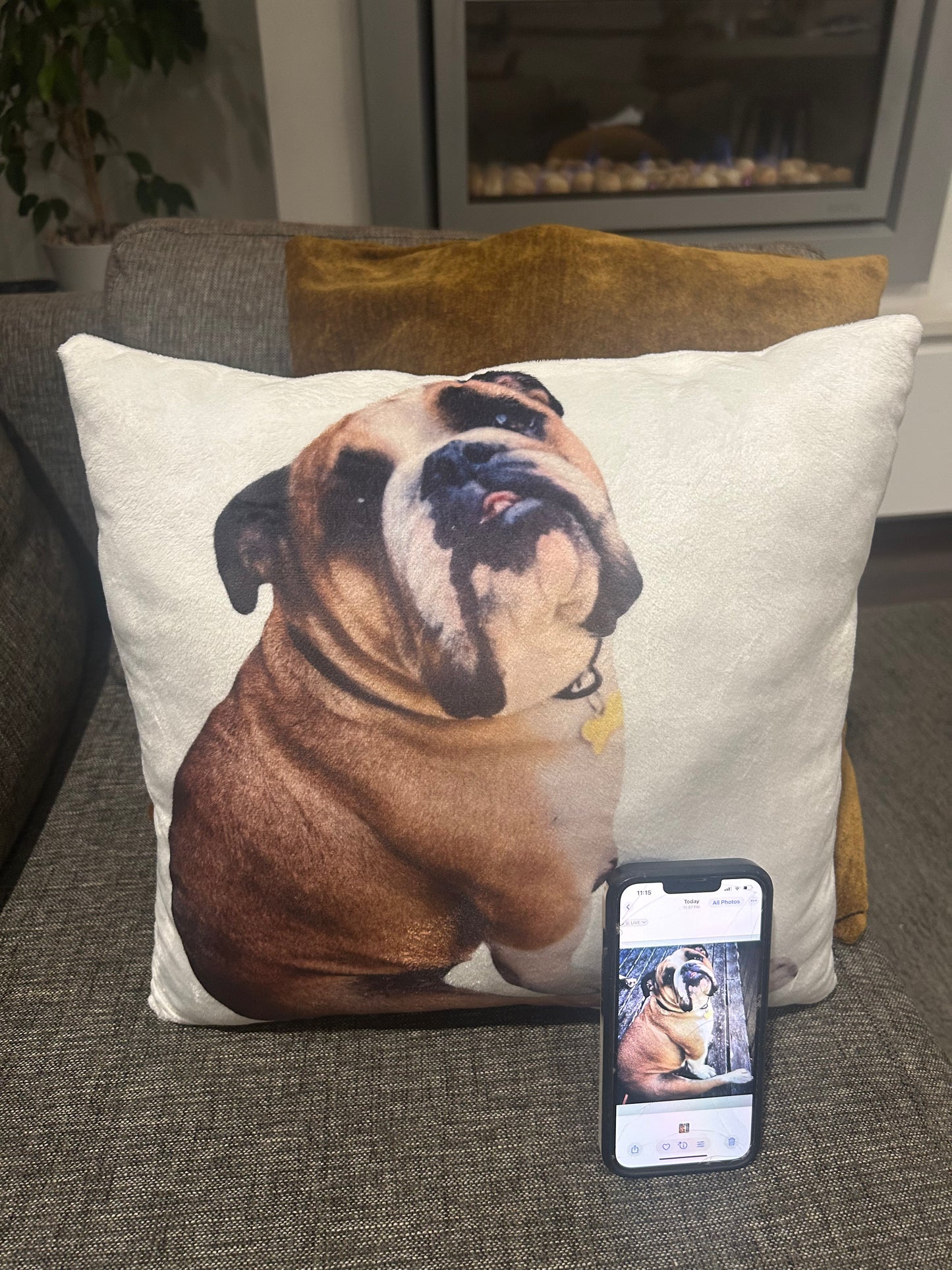 Custom Pet Pillow - Full Pillow
